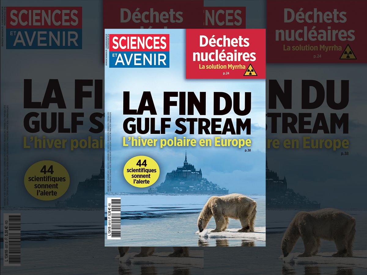 Sciences et Avenir : La fin du Gulf Stream