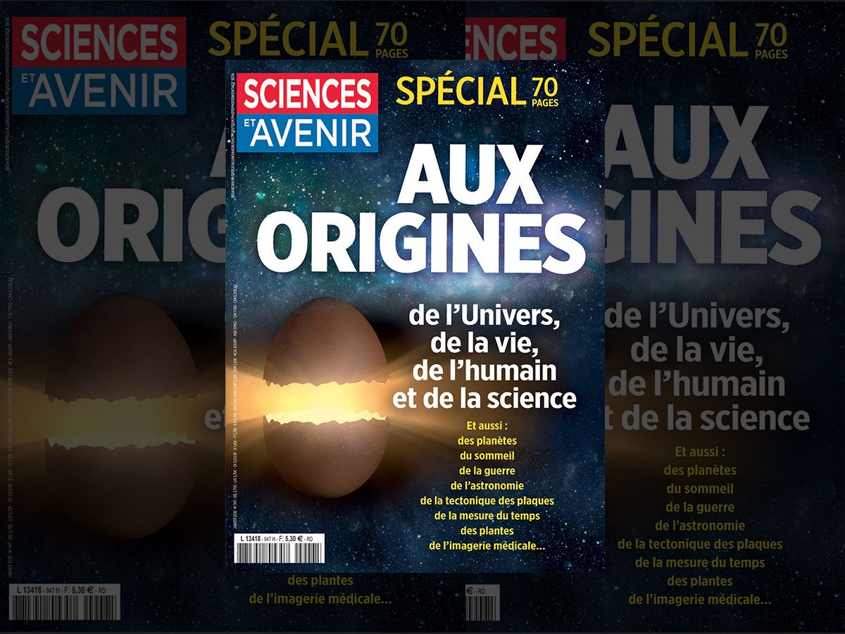 Sciences et Avenir : "Aux origines"